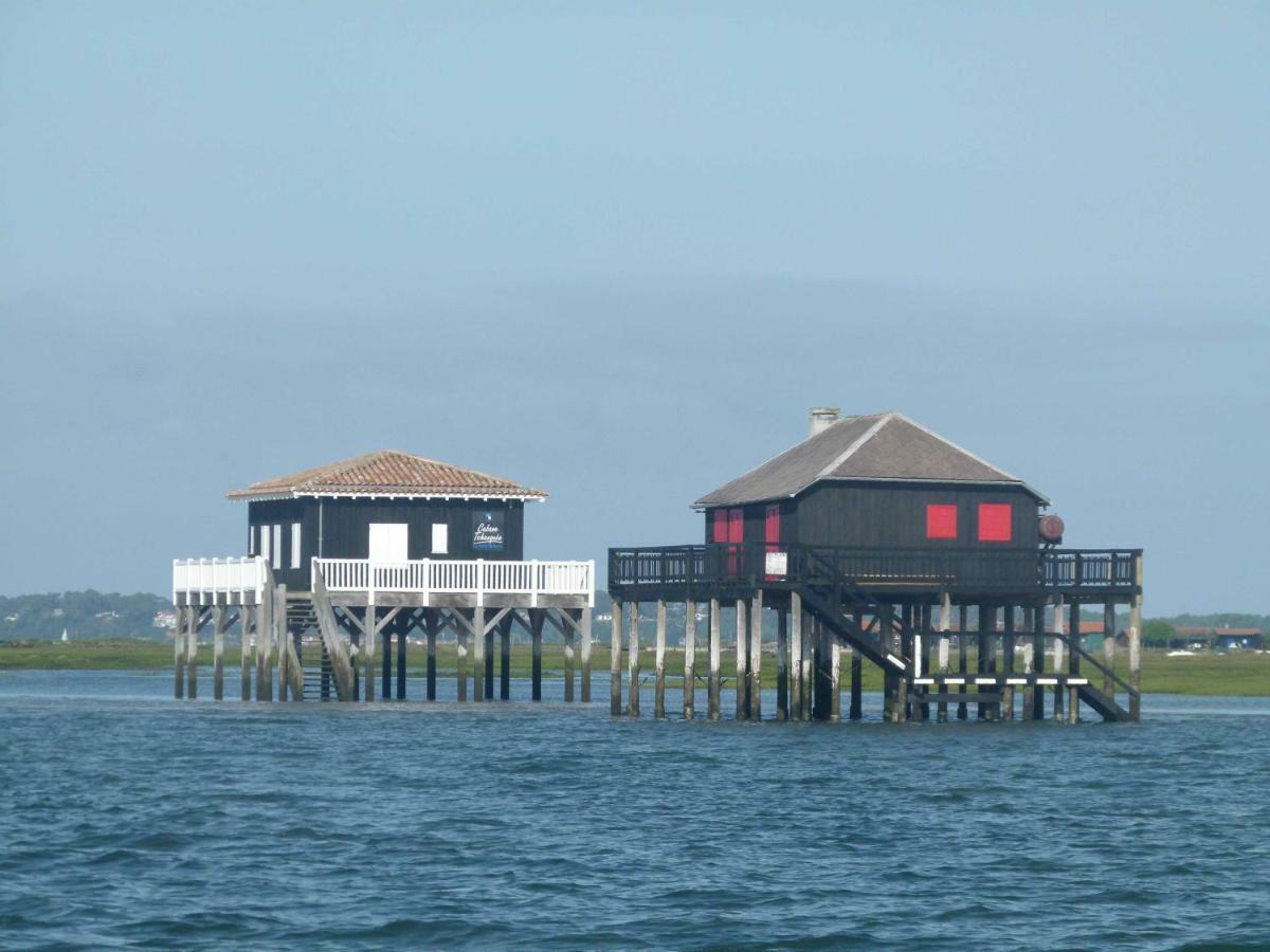Les Pieds Dans L'Eau Apartment Arcachon Ngoại thất bức ảnh